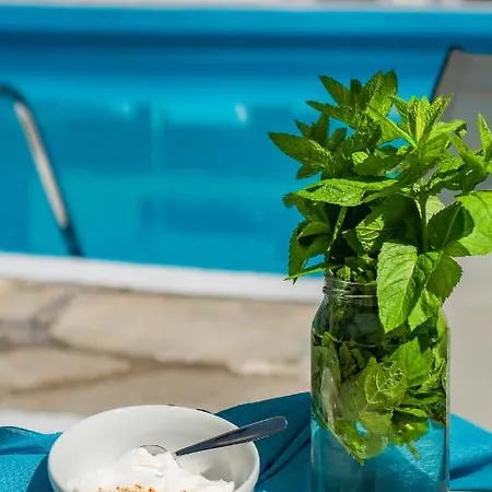 Отель Macedon Тасос