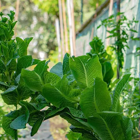 Macedon Отель 3*