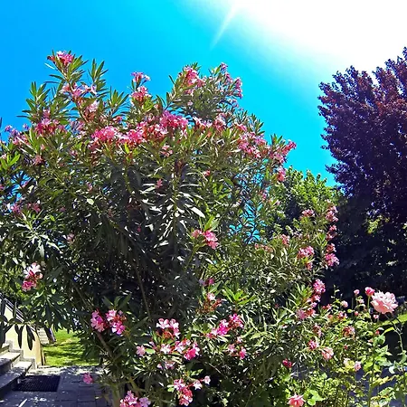 Macedon Отель 3*