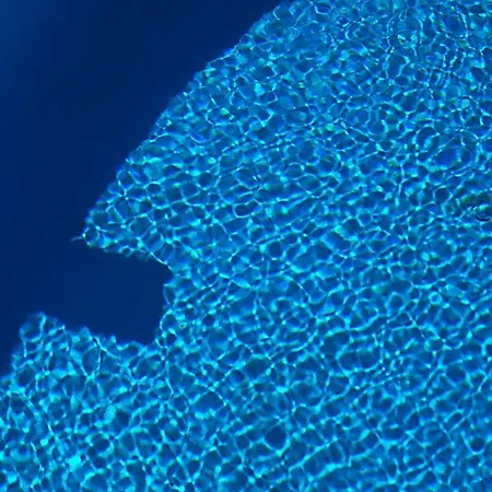 Отель Macedon 3*