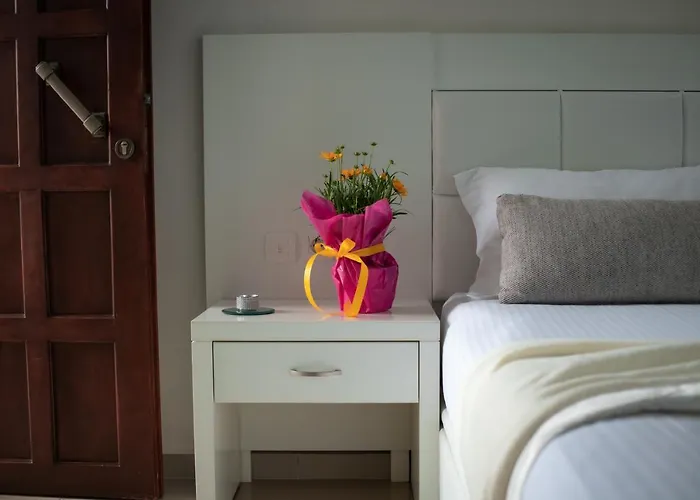 马其顿酒店 3* 萨索斯