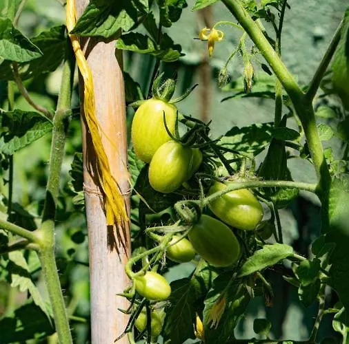 酒店 马其顿酒店 3*